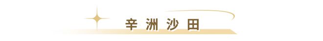 半岛·综合体育(中国)官方网站夏日苦长去10家咖啡馆邂逅安佳奶油咖啡哲学！(图21)