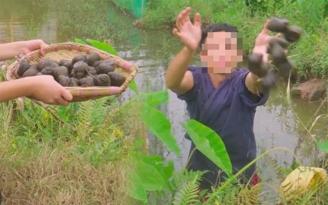 半岛·综合体育(中国)官方网站1000多斤、4万多块钱！一对夫妻深夜下河捞田螺被(图4)