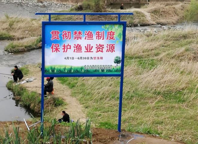 半岛·综合体育(中国)官方网站1000多斤、4万多块钱！一对夫妻深夜下河捞田螺被(图6)