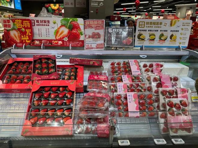 半岛·综合体育(中国)官方网站冬季草莓大量上市市民开启“莓”好时光(图1)