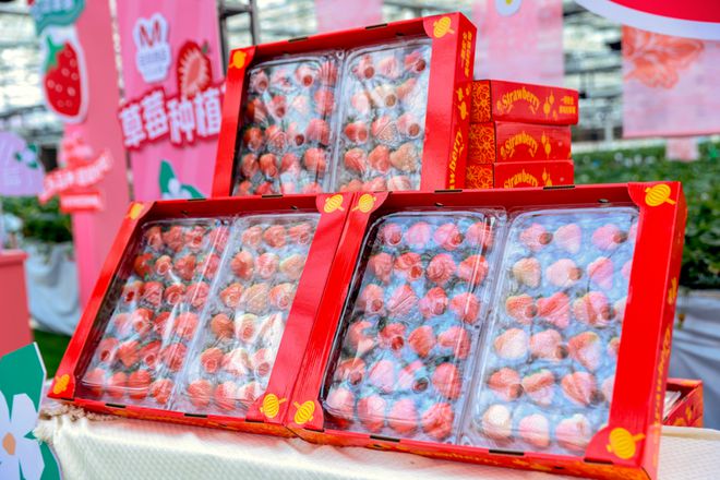 半岛·综合体育入口高鑫零售业务层面新动作(图2)