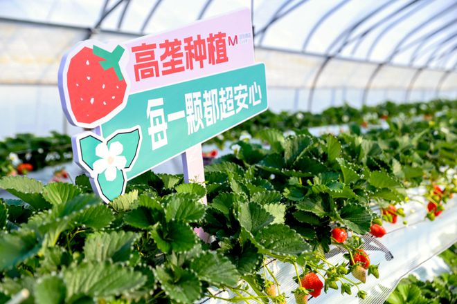 半岛·综合体育入口高鑫零售业务层面新动作(图4)